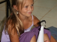 img_4882 img_4882