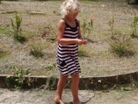img_4962 img_4962