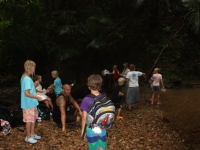 img_5055 img_5055